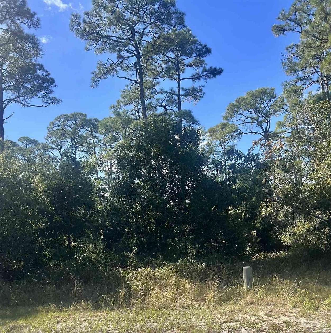 0.384 Acres of Residential Land for Sale in Pensacola, Florida