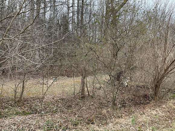 3 Acres of Residential Land for Sale in Troutville, Virginia