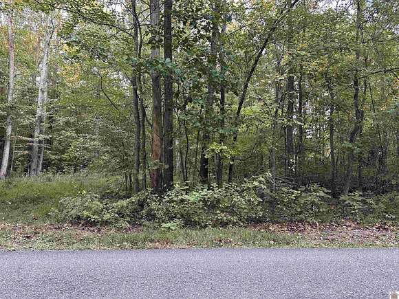 20 Acres of Recreational Land for Sale in Symsonia, Kentucky