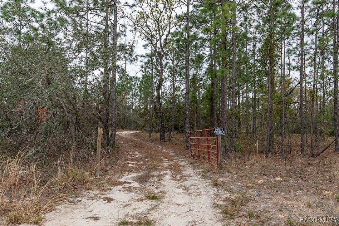 10.12 Acres of Land for Sale in Dunnellon, Florida