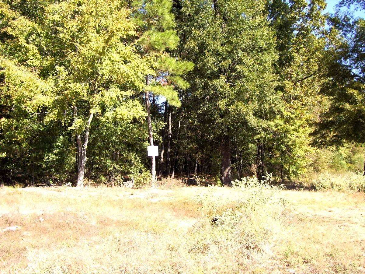 10 Acres of Residential Land for Sale in Ashdown, Arkansas