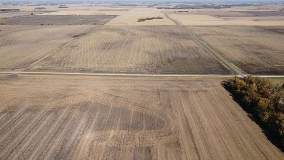 139.58 Acres of Agricultural Land for Auction in Madelia, Minnesota