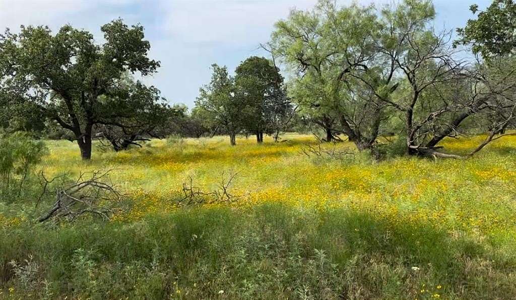 14.91 Acres of Land for Sale in Loving, Texas