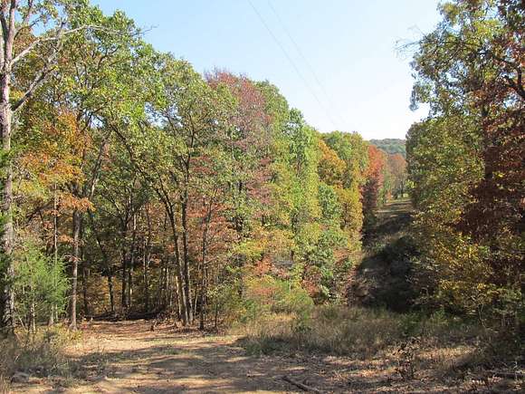 150 Acres of Recreational Land for Sale in Wesley, Arkansas