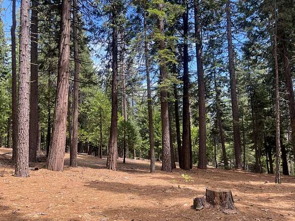 2.15 Acres of Residential Land for Sale in Camp Connell, California