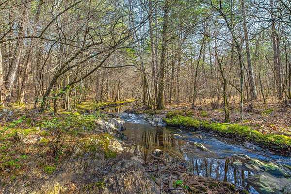 137 Acres of Recreational Land for Sale in Mena, Arkansas