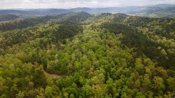 120 Acres of Recreational Land for Sale in Mena, Arkansas