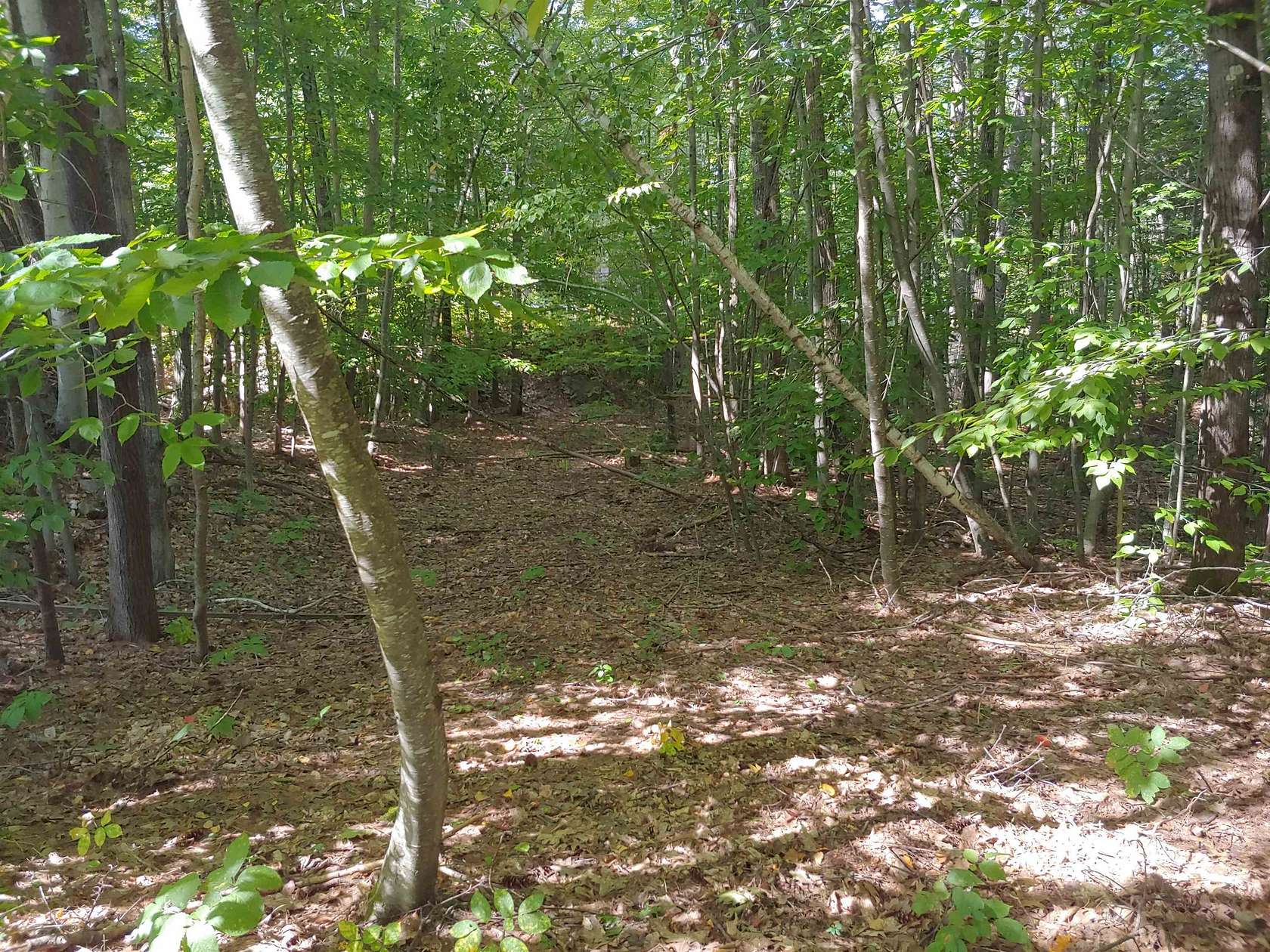 0.13 Acres of Land for Sale in Alton, New Hampshire