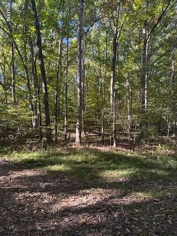 0.32 Acres of Residential Land for Sale in Baneberry, Tennessee