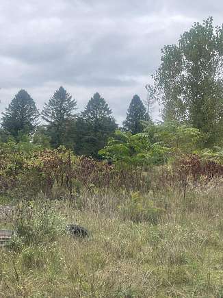 6.18 Acres of Agricultural Land for Sale in Benton Harbor, Michigan