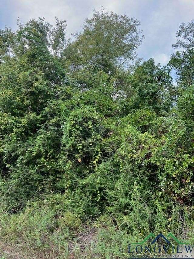 14.25 Acres of Land for Sale in Jefferson, Texas