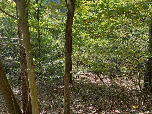 78 Acres of Recreational Land for Sale in Shelocta, Pennsylvania