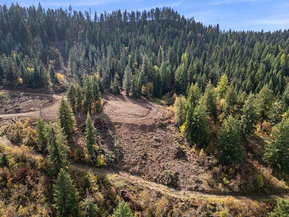 22.41 Acres of Land for Sale in Orofino, Idaho