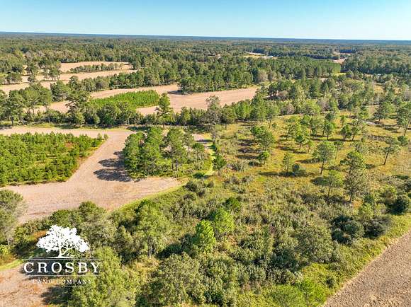 338 Acres of Recreational Land & Farm for Sale in Salters, South Carolina