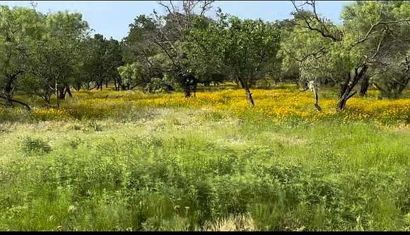 10.08 Acres of Land for Sale in Loving, Texas