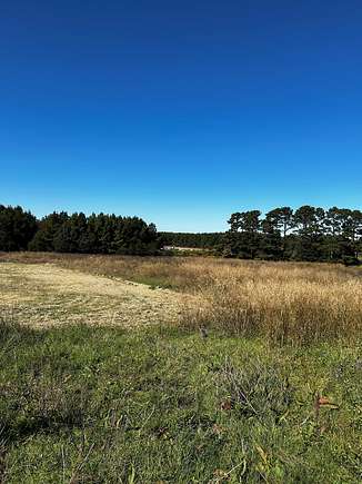 3 Acres of Agricultural Land for Sale in Quitman, Arkansas