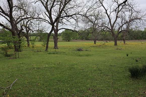 29.31 Acres of Land for Sale in Alba, Texas