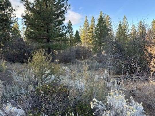 0.27 Acres of Residential Land for Sale in Chiloquin, Oregon