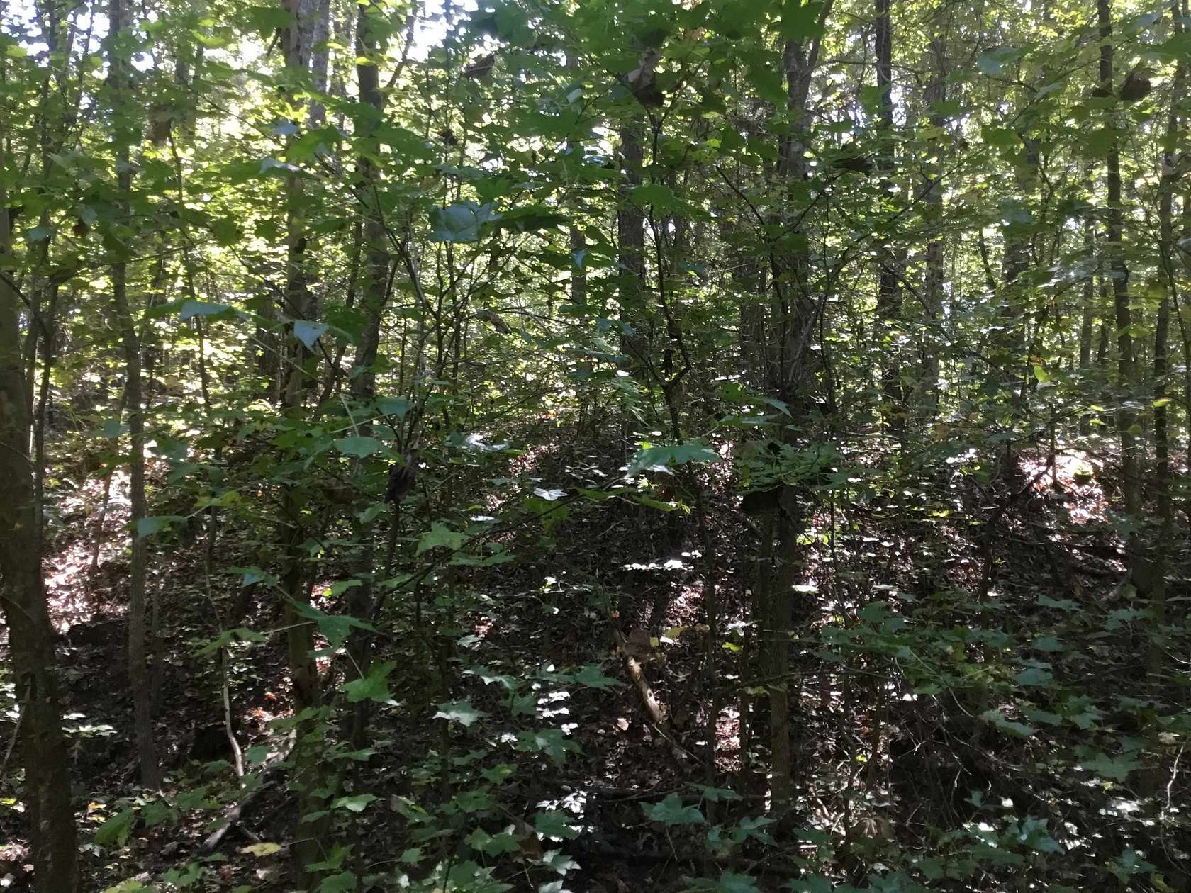 5.29 Acres of Land for Sale in Finger, Tennessee