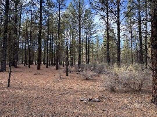 1.19 Acres of Residential Land for Sale in Chiloquin, Oregon