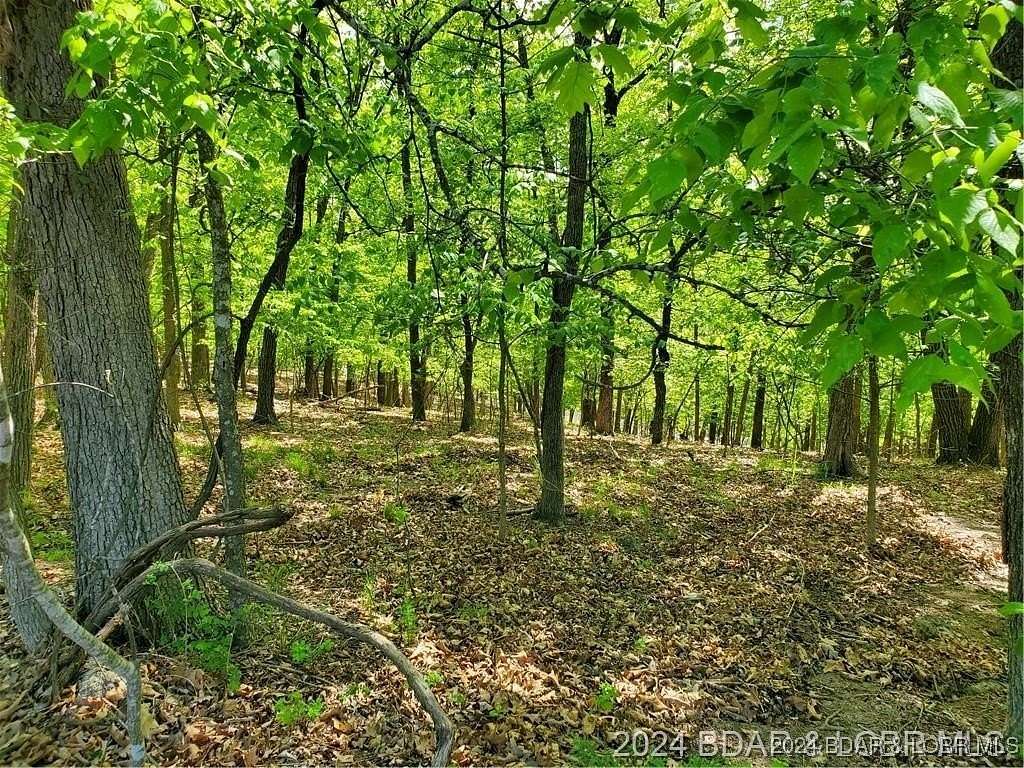 0.25 Acres of Land for Sale in Village of Four Seasons, Missouri