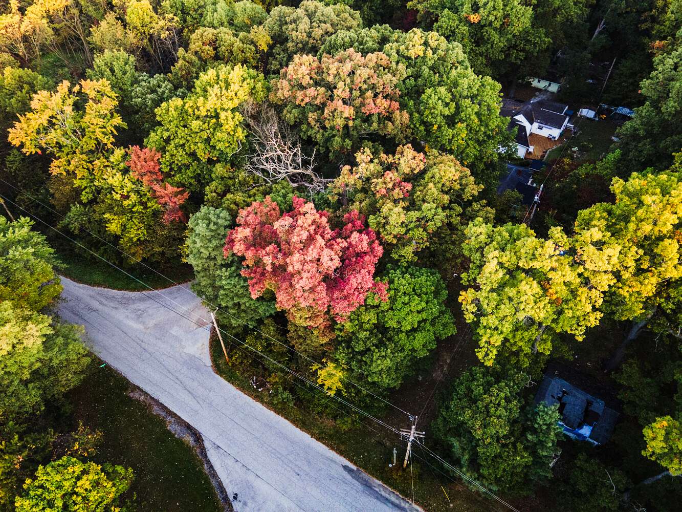 0.08 Acres of Land for Sale in South Bend, Indiana