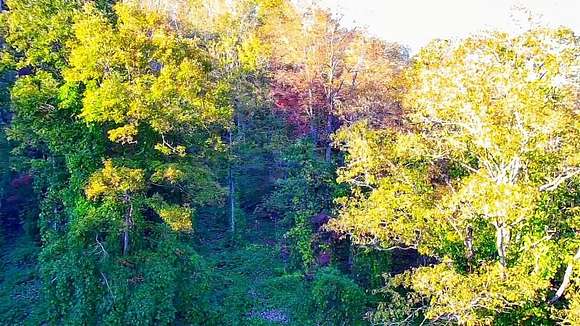 10 Acres of Residential Land for Sale in Booneville, Kentucky