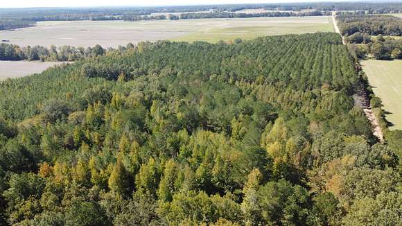 11 Acres of Land for Sale in Vardaman, Mississippi