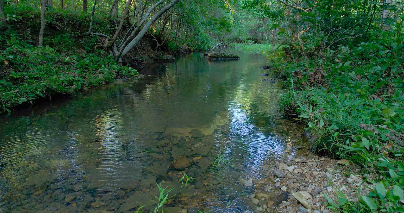 174.41 Acres of Recreational Land & Farm for Sale in West Plains, Missouri