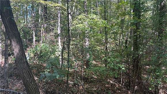 3.5 Acres of Residential Land for Sale in Jasper, Georgia