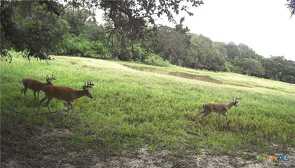 285 Acres of Land with Home for Sale in Garwood, Texas