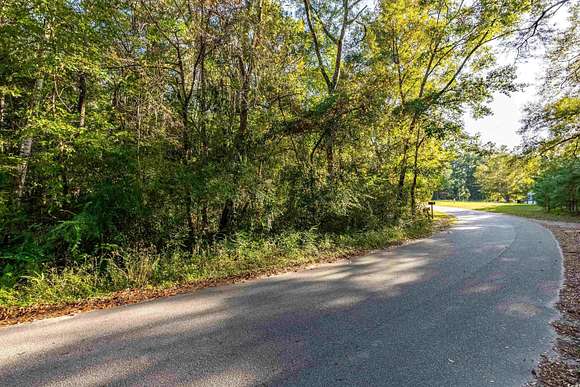 0.98 Acres of Residential Land for Sale in Andrews, South Carolina