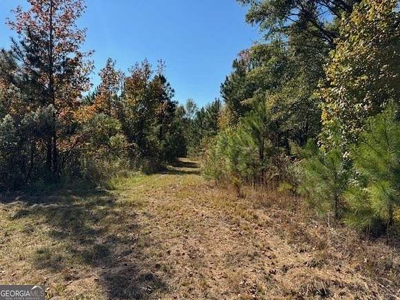 47.81 Acres of Land for Sale in Milner, Georgia