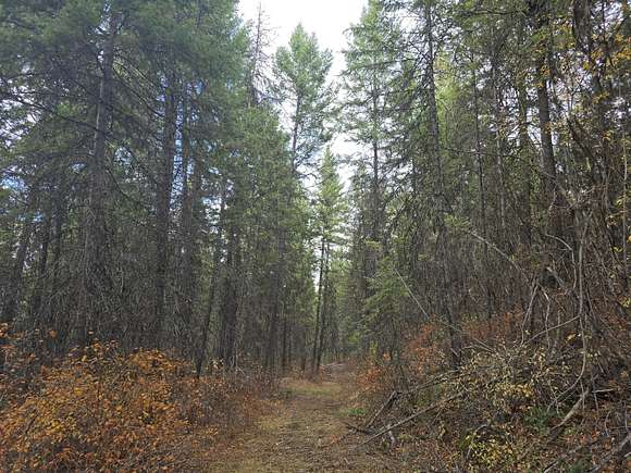 180 Acres of Recreational Land for Sale in Colville, Washington