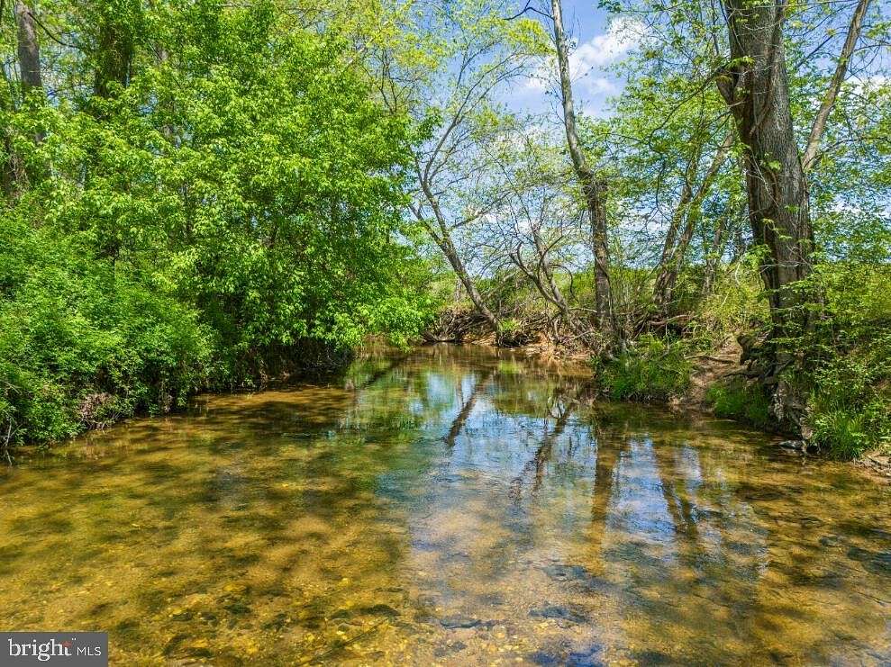 50.8 Acres of Recreational Land for Sale in Orlean, Virginia