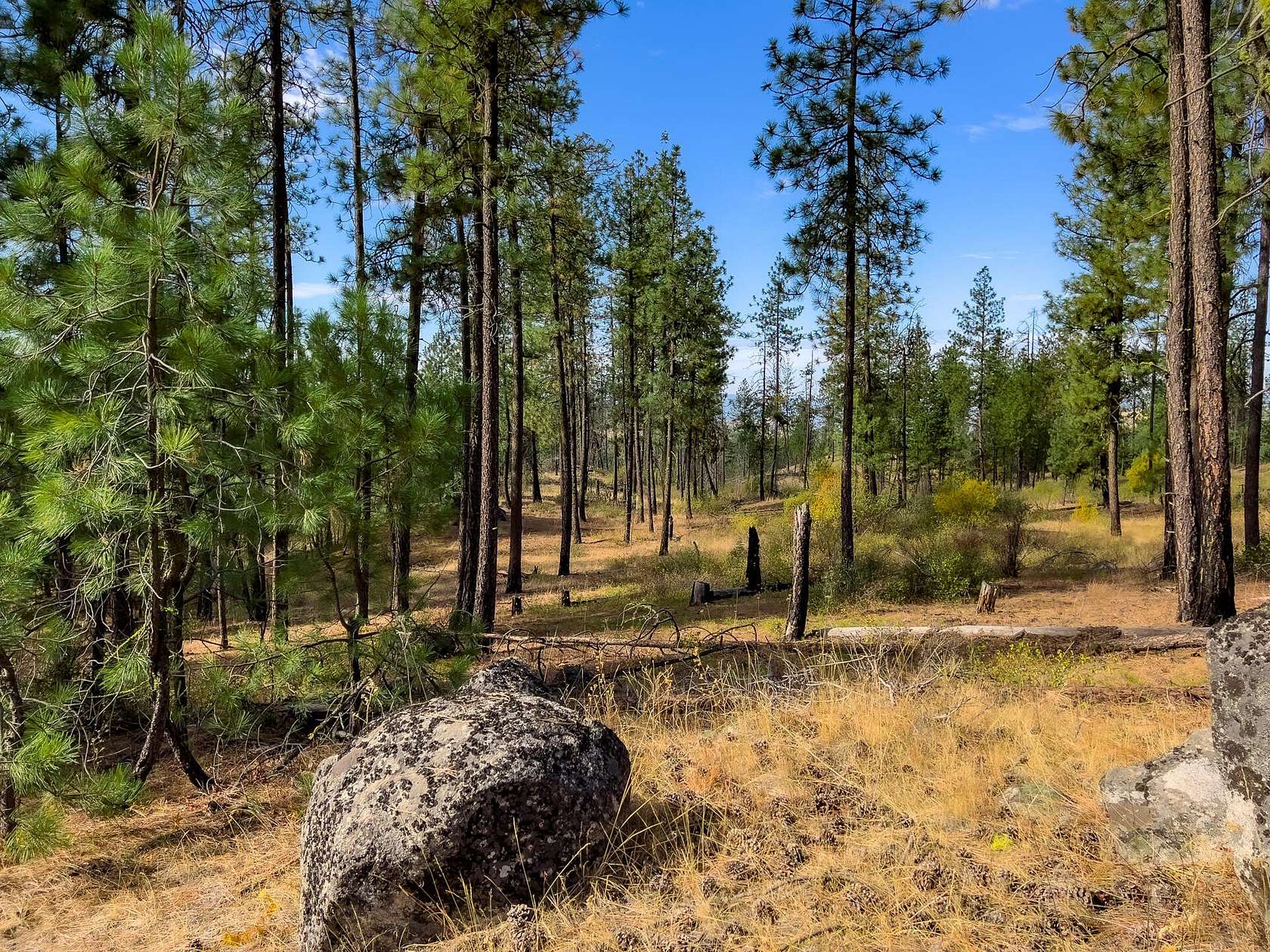 20 Acres of Recreational Land for Sale in Fruitland, Washington