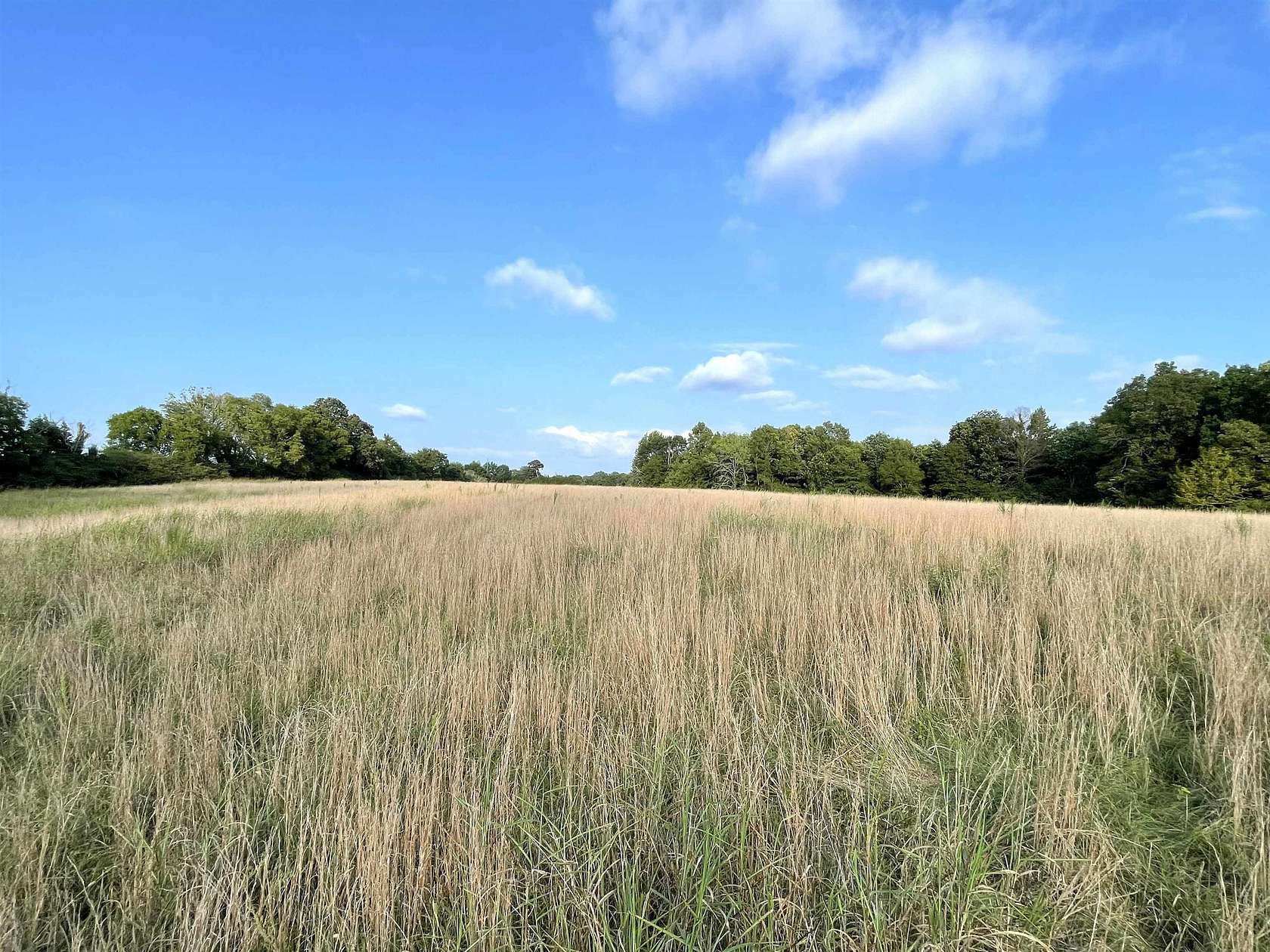 44 Acres of Agricultural Land for Sale in Lexington, Alabama