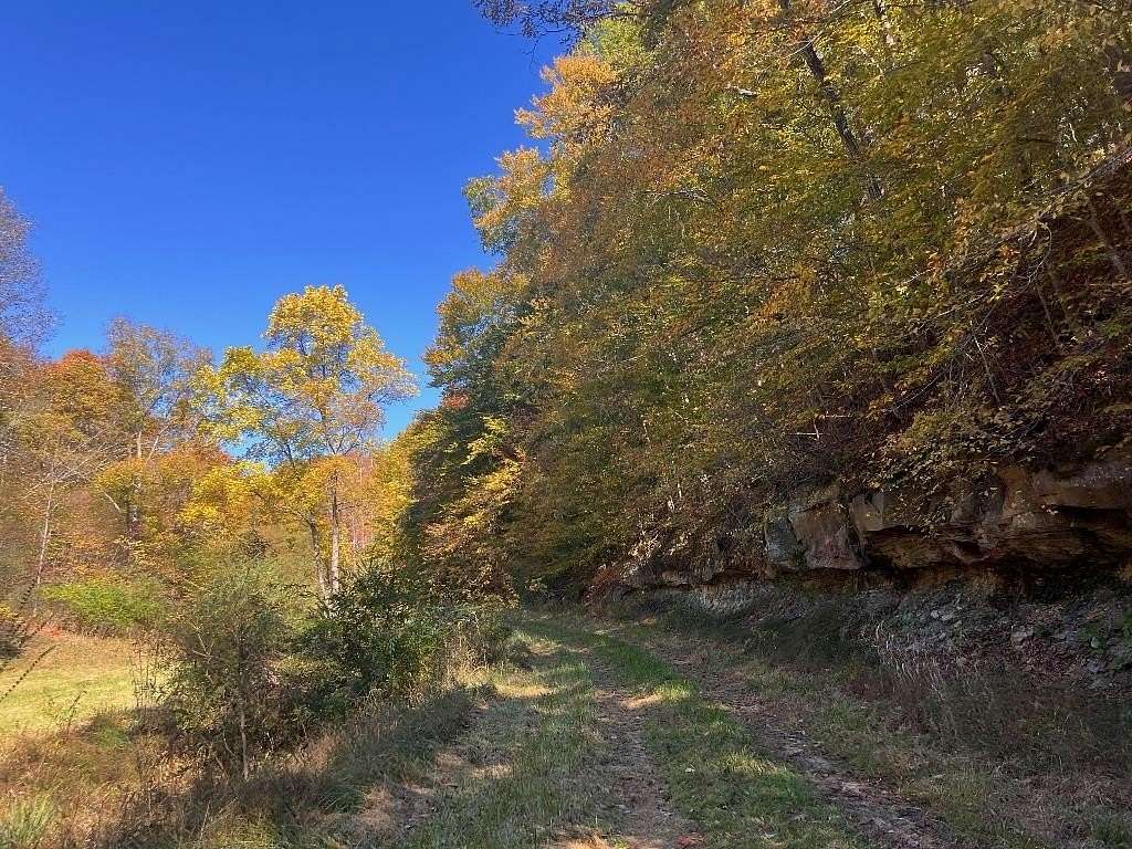 93 Acres of Agricultural Land for Sale in East Lynn, West Virginia