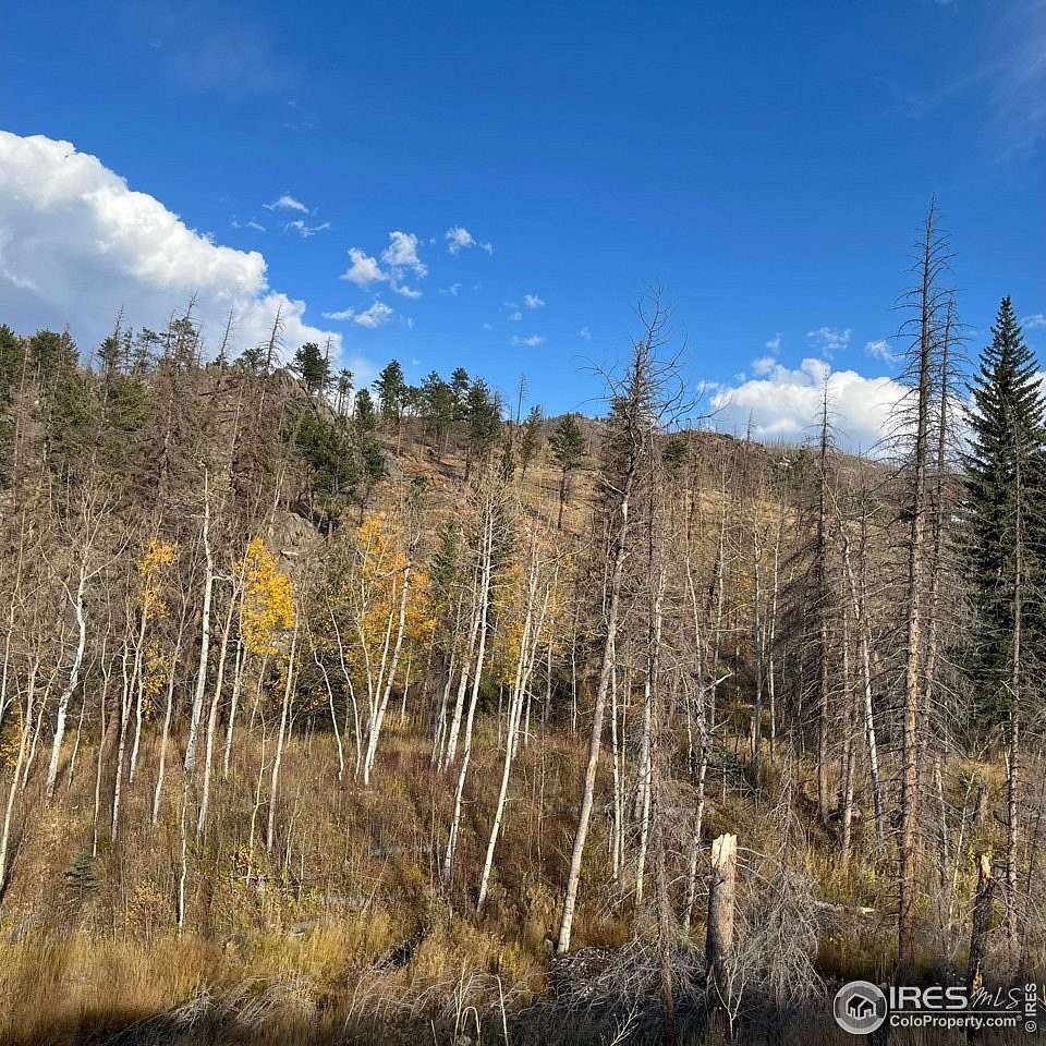 12 Acres of Land for Sale in Bellvue, Colorado