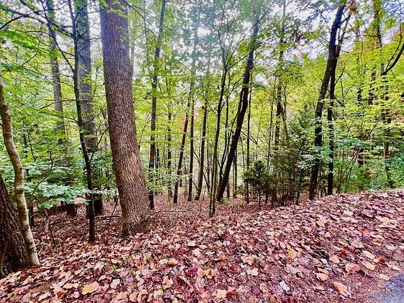 0.9 Acres of Land for Sale in Ellijay, Georgia