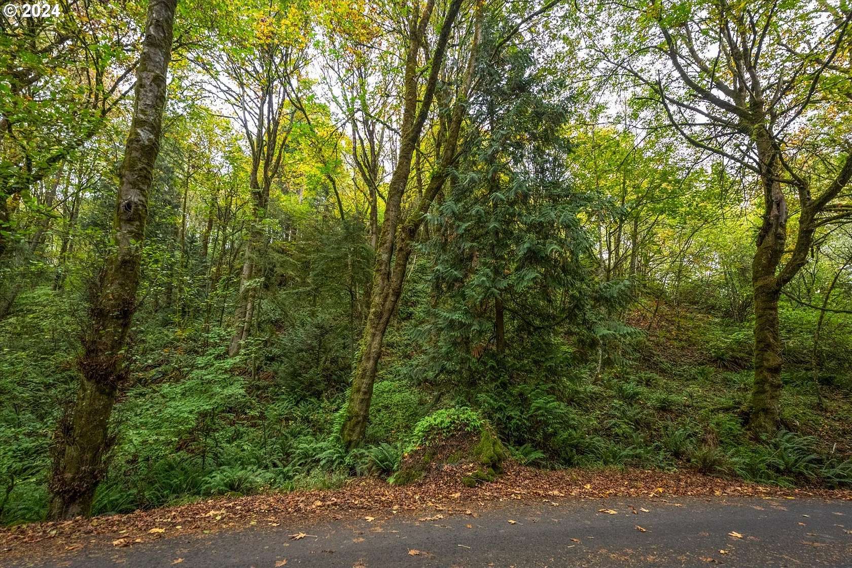 0.66 Acres of Residential Land for Sale in Longview, Washington