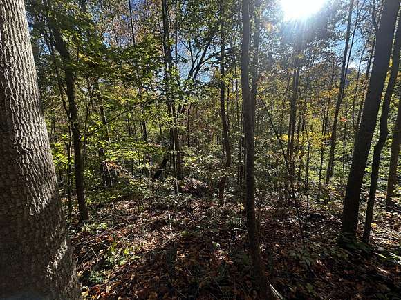 80 Acres of Recreational Land for Sale in Stanton, Kentucky