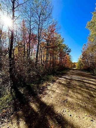 1 Acre of Residential Land for Sale in Elmira, Michigan