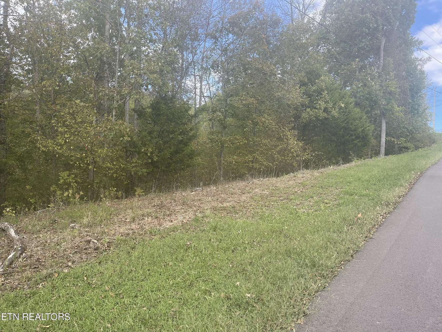 1.11 Acres of Land for Sale in Dandridge, Tennessee