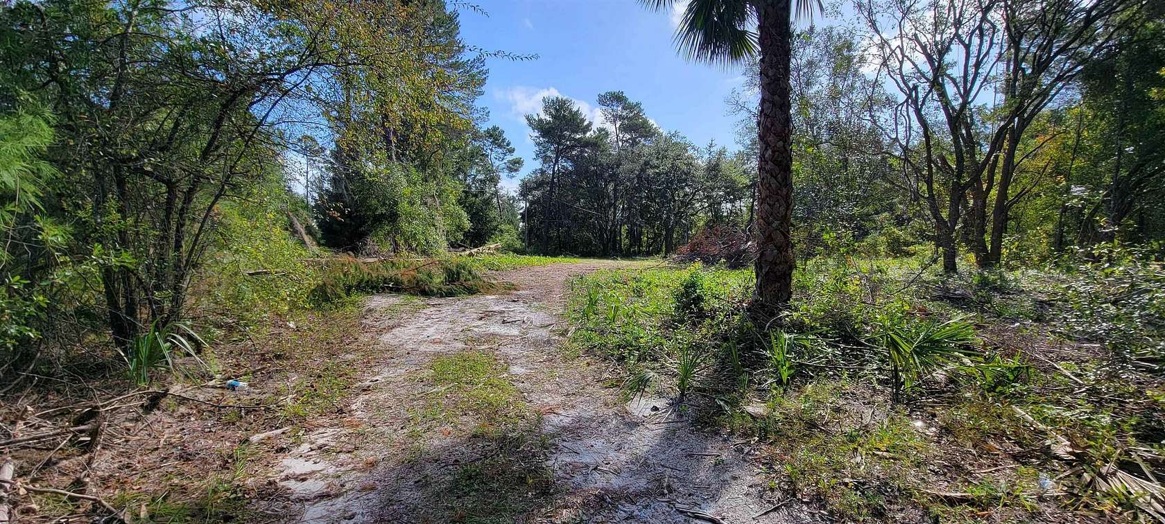 1.38 Acres of Residential Land for Sale in Welaka, Florida