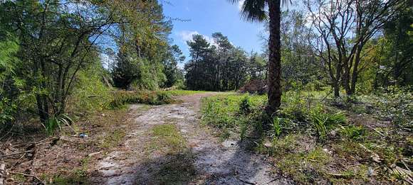 1.38 Acres of Residential Land for Sale in Welaka, Florida