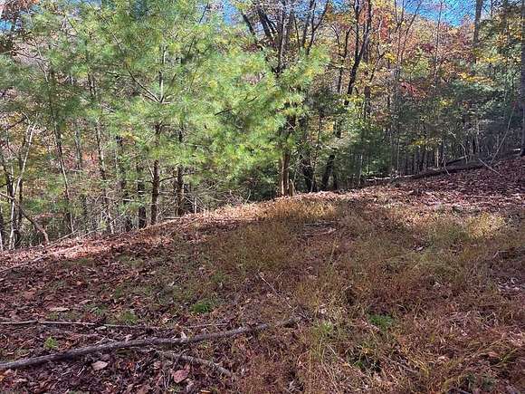 0.67 Acres of Residential Land for Sale in Franklin Township, North Carolina