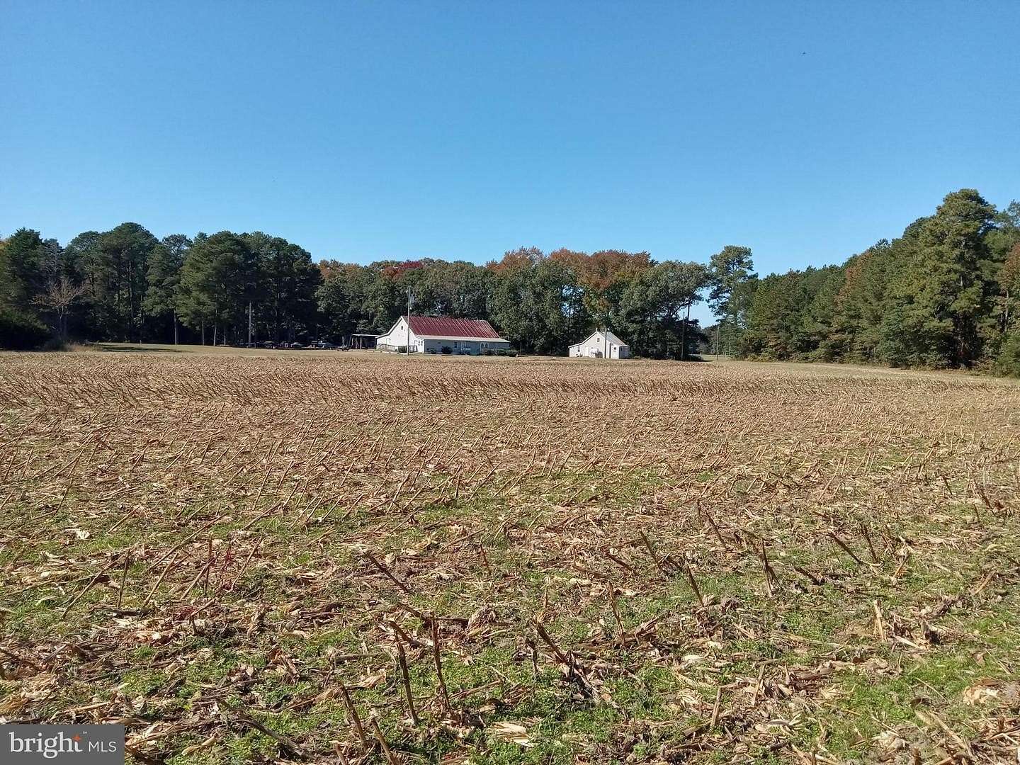 171.5 Acres of Land for Sale in Snow Hill, Maryland