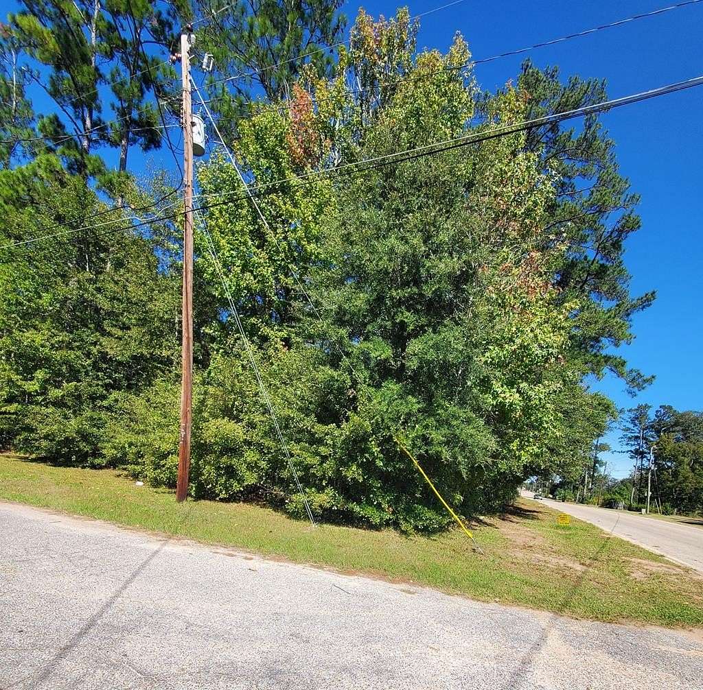 0.82 Acres of Residential Land for Sale in Ashford, Alabama