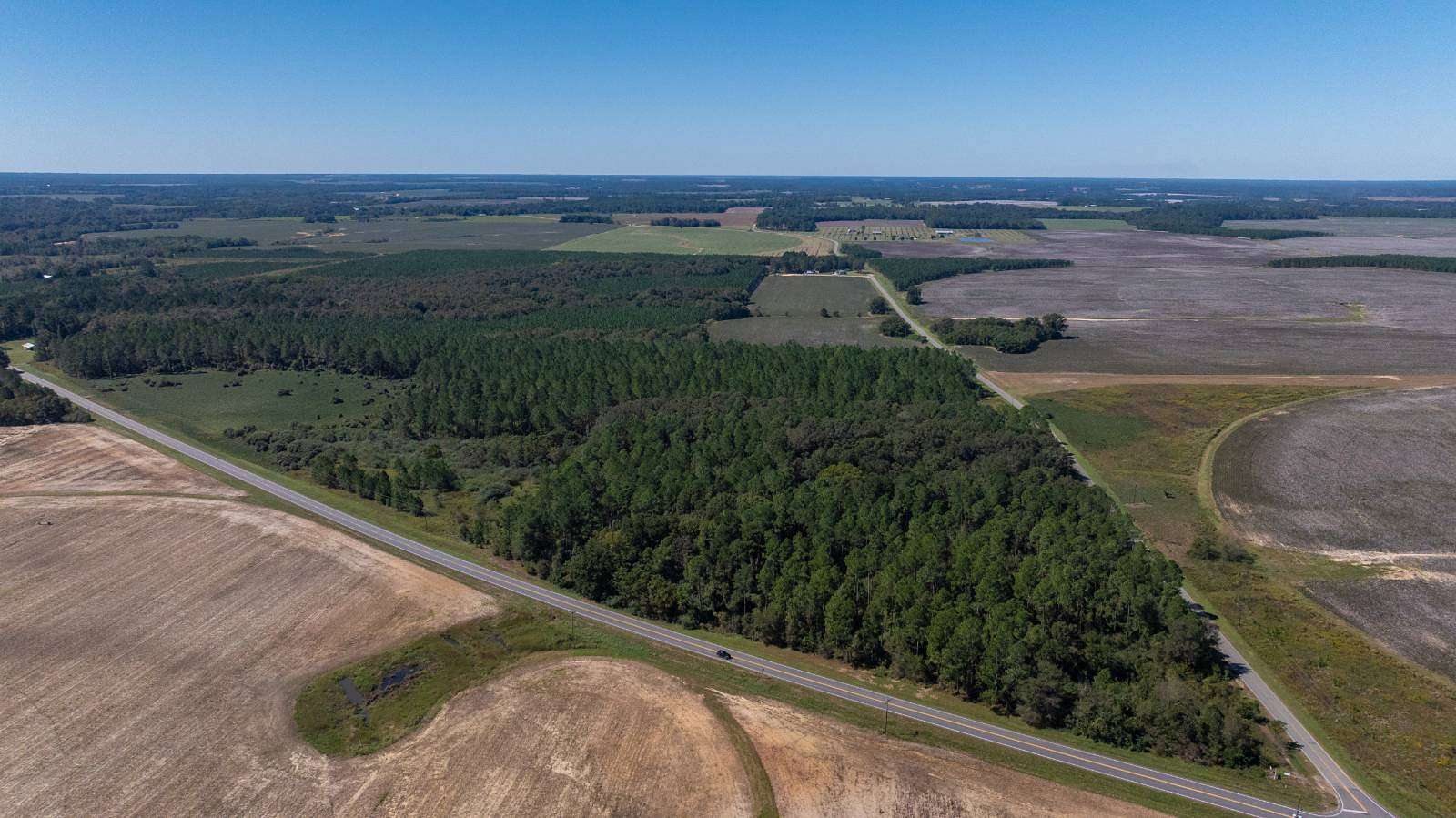 95 Acres of Recreational Land for Auction in Hawkinsville, Georgia